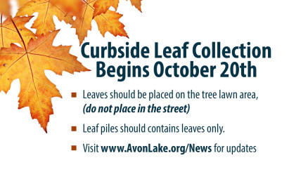 Public Works: Leaf Pickup Begins